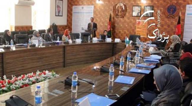 MoPH Holds Workshop to Promote RMC Approaches